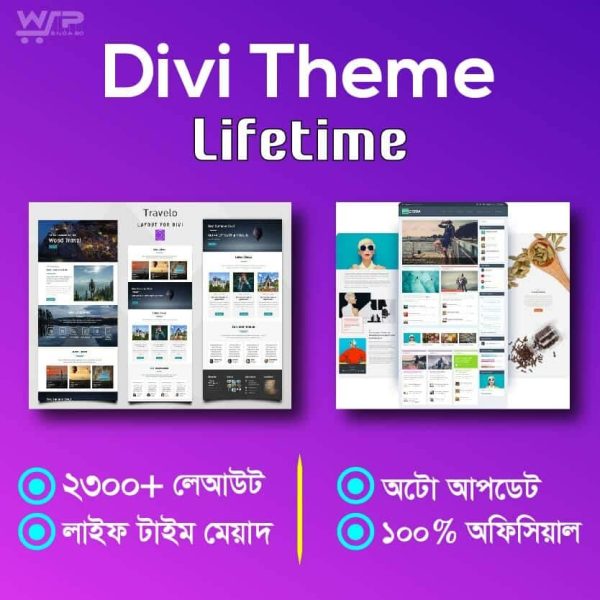 Divi Theme lifetime